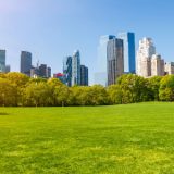 Planejamento urbano: 4 práticas para evitar a impermeabilização do solo